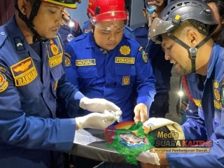 Telinga Bocah Terkait Mata Kail, Petugas Damkar Kotim Lakukan Evakuasi