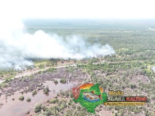 Karhutla Terjadi di Desa Natai Baru, Api Tidak Bisa Terjangkau