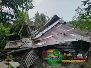 Angin Kencang Terjang Sampit, Pohon Tumbang hingga Rumah Rubuh