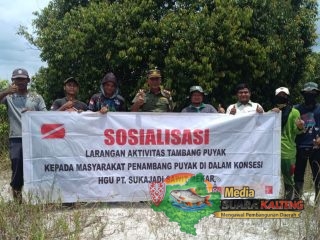Cegah Dampak Illegal Mining, BKSDA dan PT SSM Lakukan Pengawasan dan Tanam 300 Pohon di Telawang