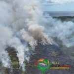 BPBD Kalteng Perkuat Koordinasi Hadapi Ancaman Karhutla di Musim Kemarau