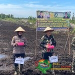 Dukung Ketahanan Pangan, Polres Kotim Ikuti Gerakan Tanam Padi Serentak di Lahan Cetak Sawah Rakyat