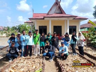 Manfaatkan Lahan Kosong, Kelurahan Baamang Tengah Sulap Pekarangan Menjadi Kebun Tanaman Pelawija