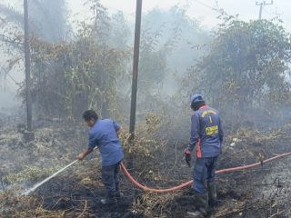 Petugas Damkar Padamkan 4,5 Hektare Lahan Terbakar di Jalan Cilik Riwut Km 12 Kota Besi